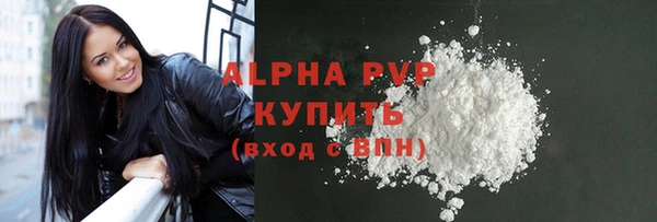 стаф Нея