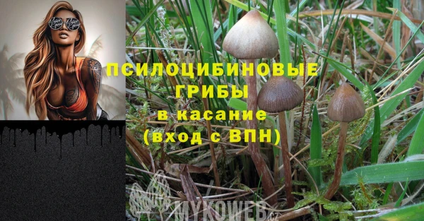 стаф Нея