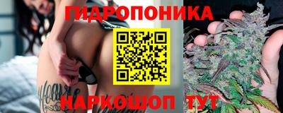 альфа пвп Камышлов