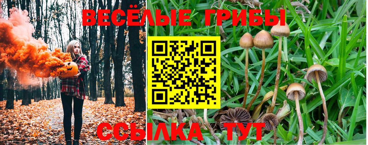 Пыть-Ях  Галлюциногенные грибы мицелий  Вход с VPN  Псилоцибиновые грибы Psilocybe 